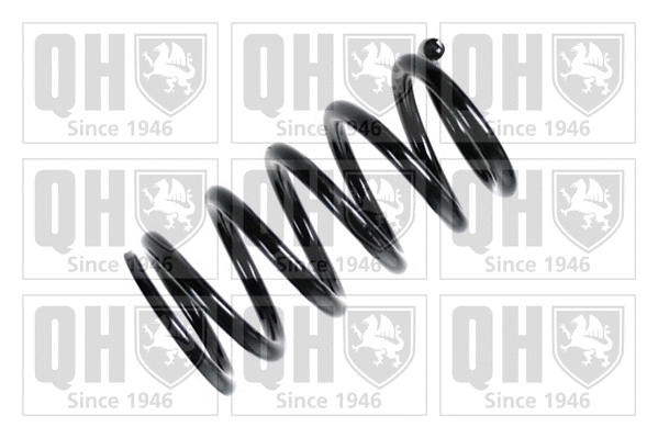Suspension Spring (QCS6409)