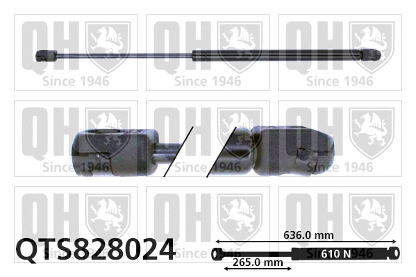 Gas Spring, boot/cargo area (QTS828024)