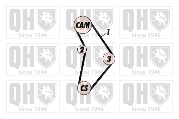 Timing Belt Kit (QBK128P)