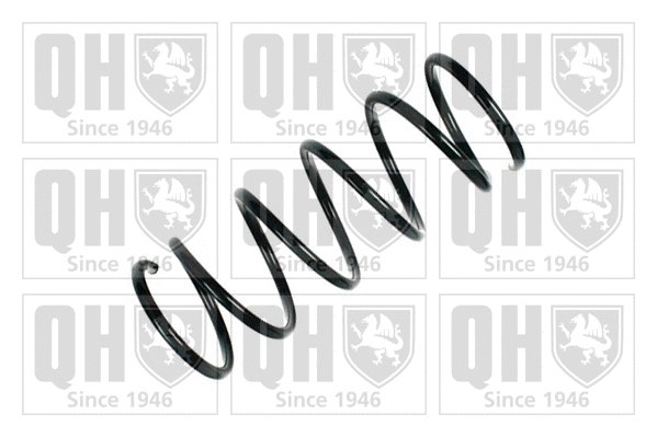 Suspension Spring (QCS5696)