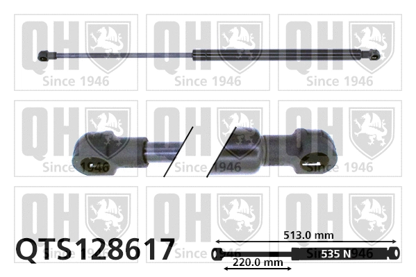 Gas Spring, boot/cargo area (QTS128617)