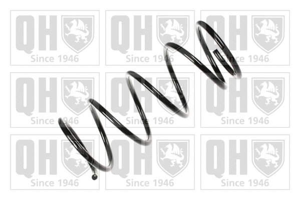 Suspension Spring (QCS5822)