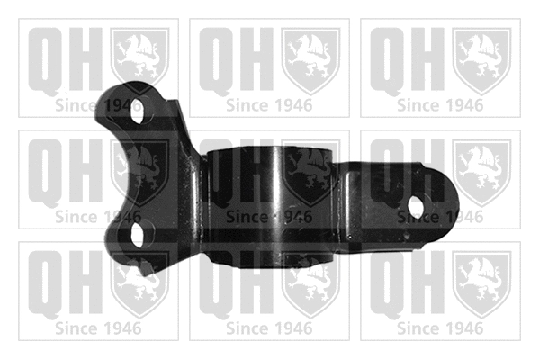 Mounting, control/trailing arm (EMS8435)