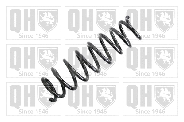 Suspension Spring (QCS7676)