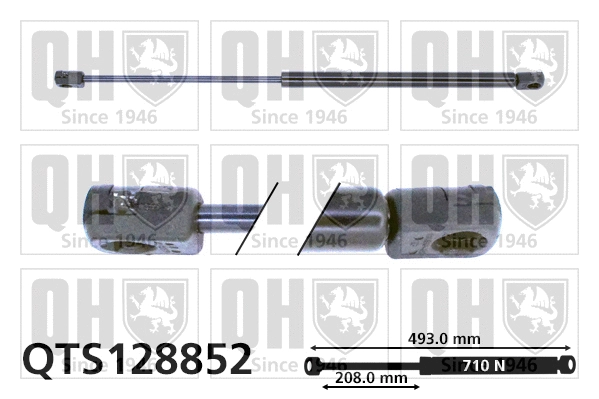 Gas Spring, boot/cargo area (QTS128852)