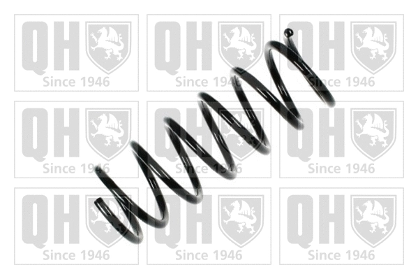Suspension Spring (QCS6481)