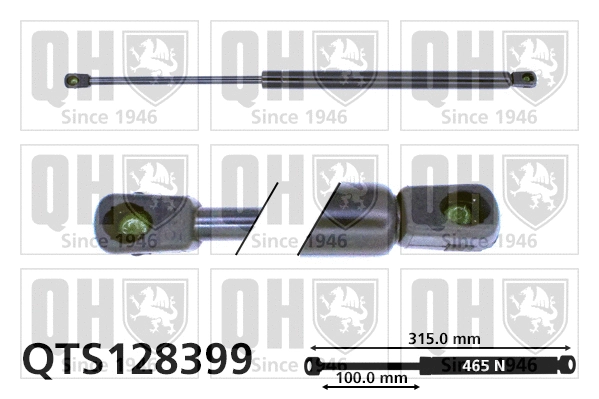 Gas Spring, boot/cargo area (QTS128399)