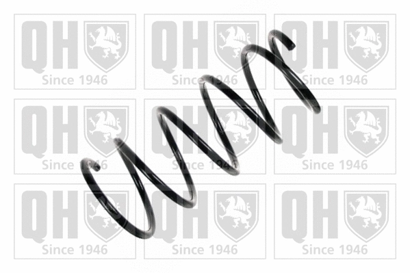 Suspension Spring (QCS6645)