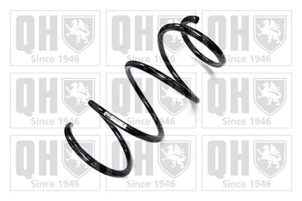 Suspension Spring (QCS5656)