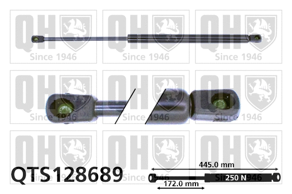 Gas Spring, boot/cargo area (QTS128689)