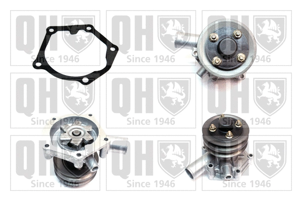 Water Pump, engine cooling (QCP3035)