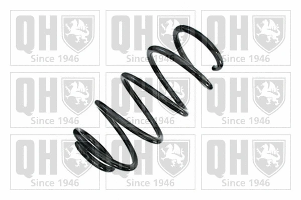 Suspension Spring (QCS9095)