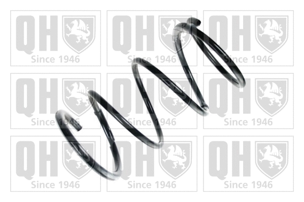 Suspension Spring (QCS7484)