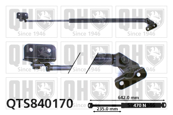 Gas Spring, boot/cargo area (QTS840170)