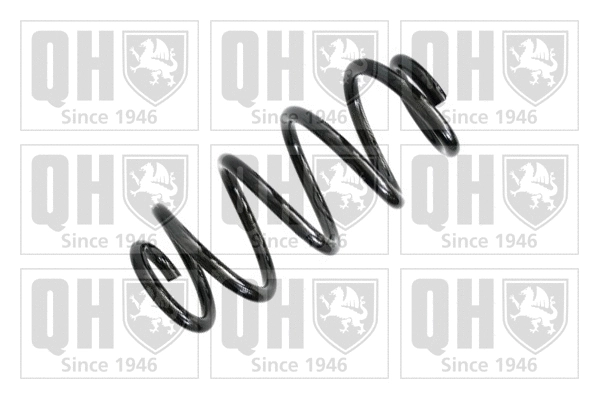 Suspension Spring (QCS6597)