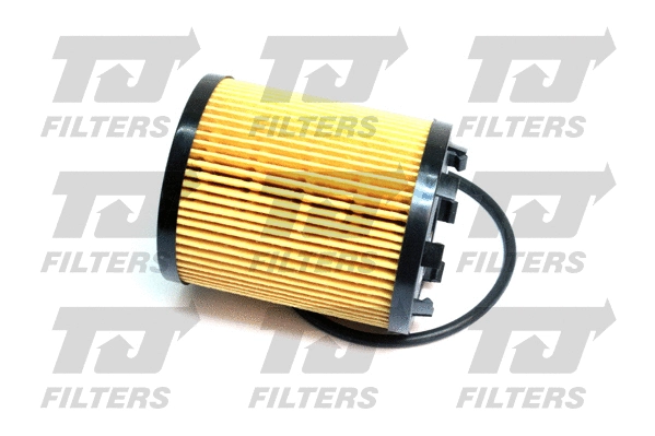 Oil Filter (QFL0081)