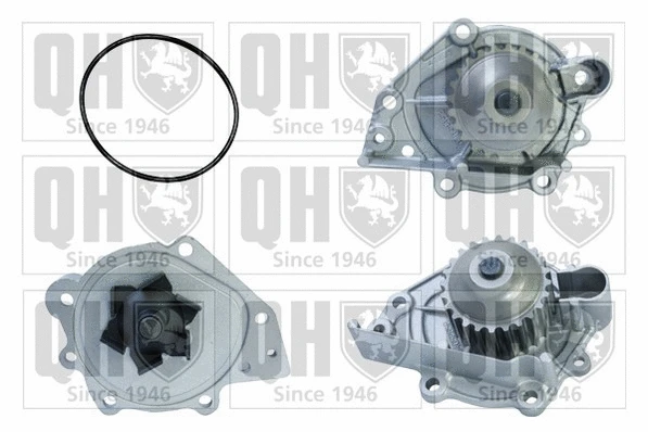 Water Pump, engine cooling (QCP3553)