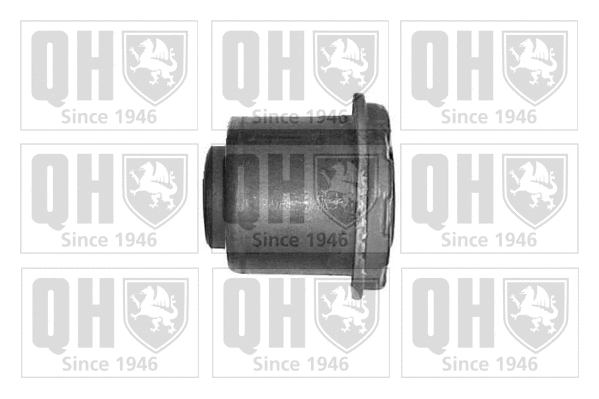 Mounting, control/trailing arm (EMS8179)