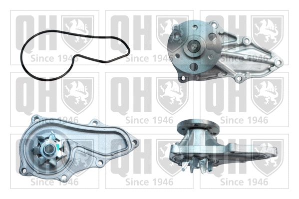 Water Pump, engine cooling (QCP3802)
