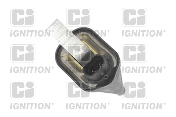 Ignition Coil (XIC8135)