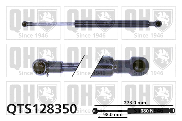 Gas Spring, boot/cargo area (QTS128350)