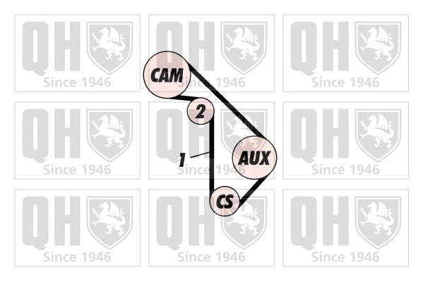 Timing Belt Kit (QBK210)