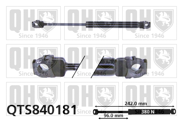 Gas Spring, bonnet (QTS840181)