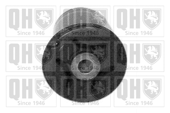 Mounting, control/trailing arm (EM2448)