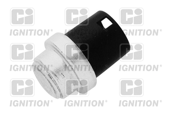 Sensor, coolant temperature (XEMS48)