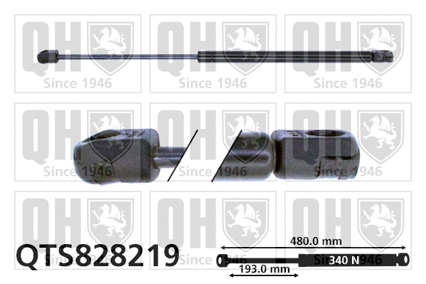 Gas Spring, boot/cargo area (QTS828219)