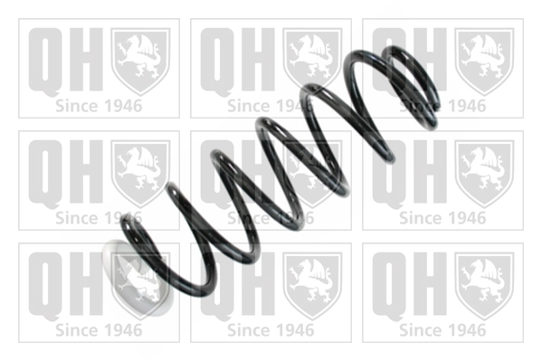 Suspension Spring (QCS8469)