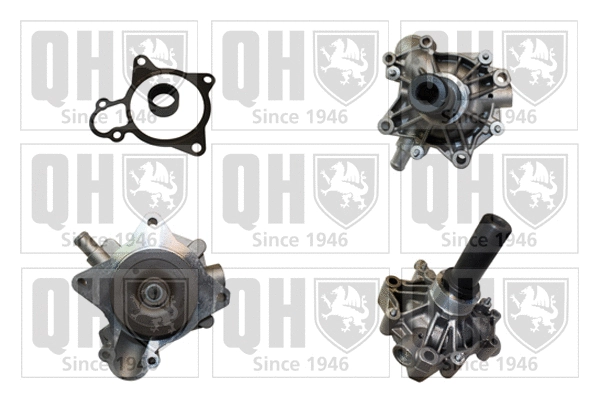 Water Pump, engine cooling (QCP3815)