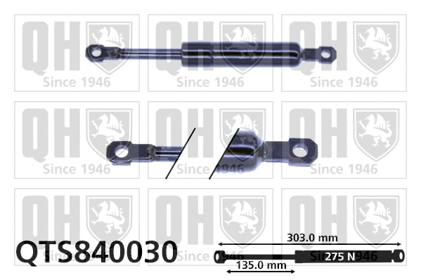Gas Spring, boot/cargo area (QTS840030)