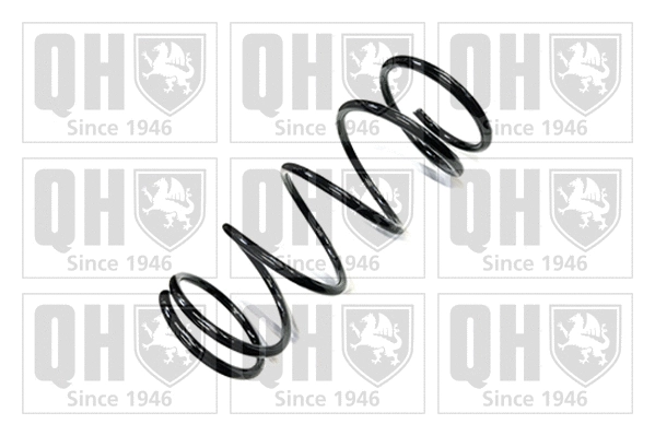 Suspension Spring (QCS6765)