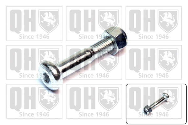Clamping Screw, ball joint (QSK269S)