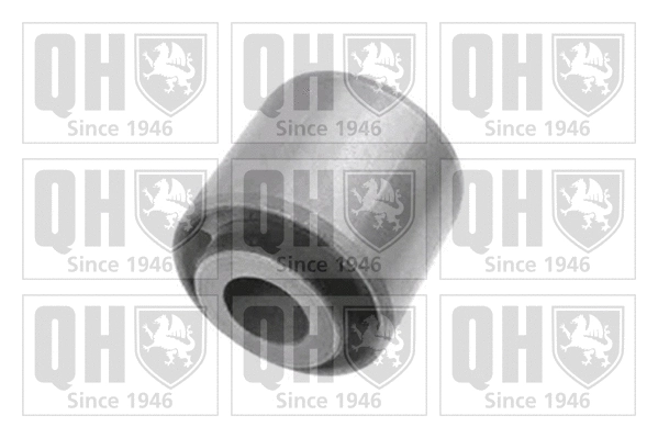 Mounting, control/trailing arm (EMS8376)