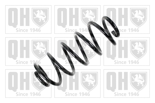 Suspension Spring (QCS5247)