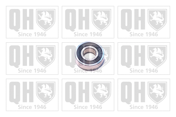 Bearing (XB9917)