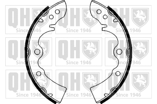 Brake Shoe Set (BS569)