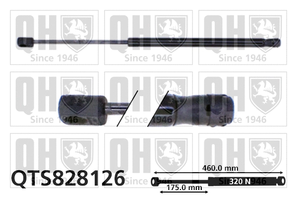 Gas Spring, boot/cargo area (QTS828126)
