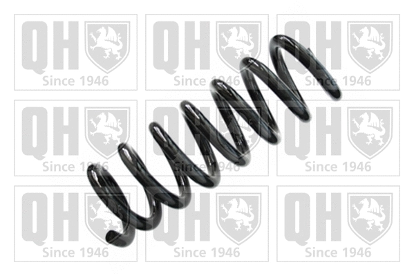 Suspension Spring (QCS7733)