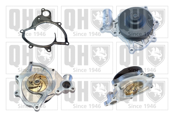 Water Pump, engine cooling (QCP3822)