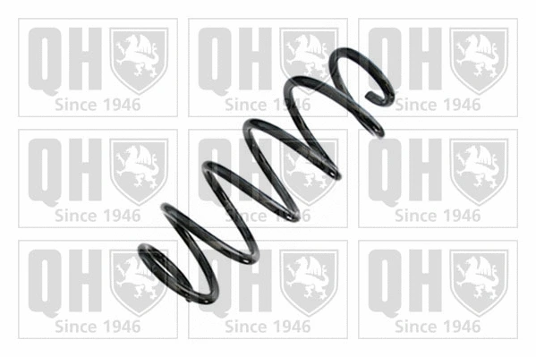 Suspension Spring (QCS7466)