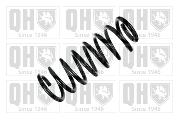 Suspension Spring (QCS5004)