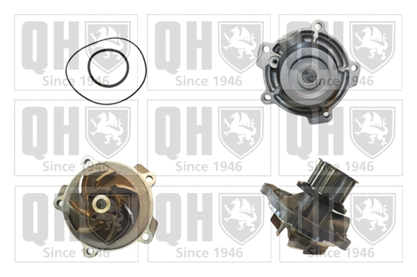 Water Pump, engine cooling (QCP3790)