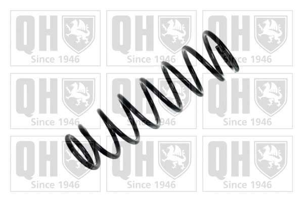 Suspension Spring (QCS6921)