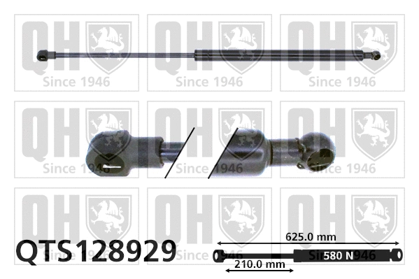 Gas Spring, boot/cargo area (QTS128929)