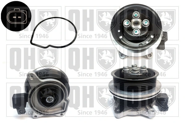 Water Pump, engine cooling (QCP3716)