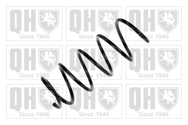 Suspension Spring (QCS7473)