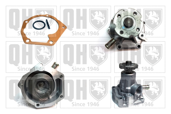 Water Pump, engine cooling (QCP1504)